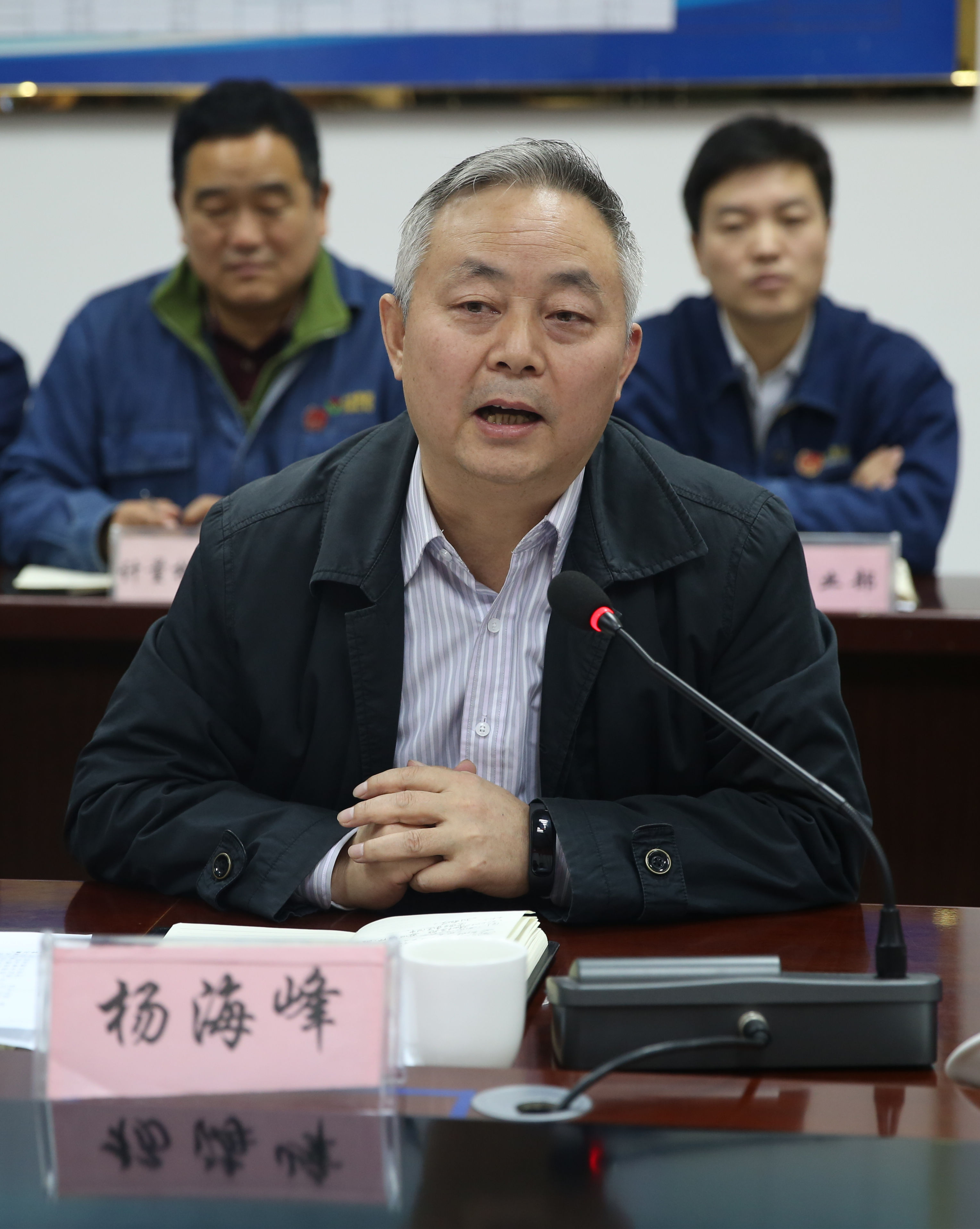 海峰董事长_薇娅的老公海峰图片