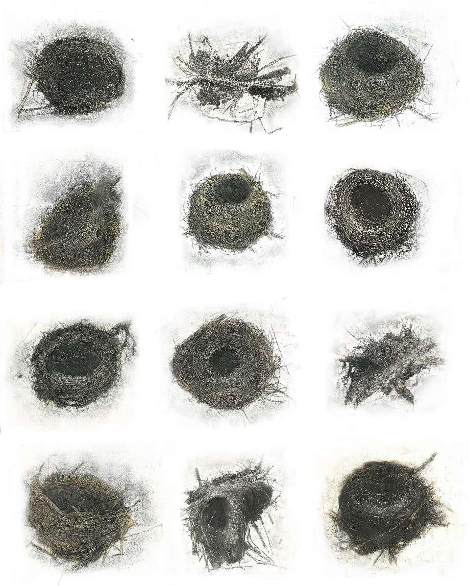 image47.jpeg