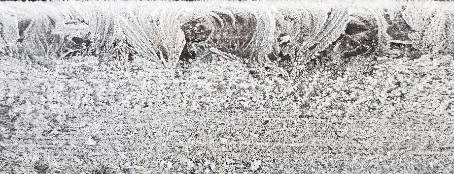 image97.jpeg
